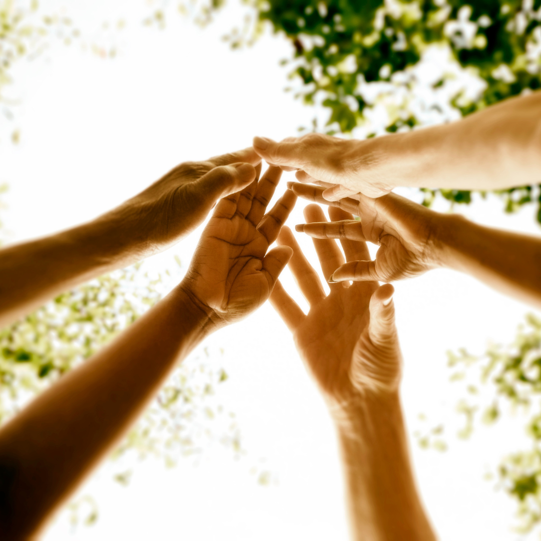 ACO & Birth Parents: Hopes for the Future